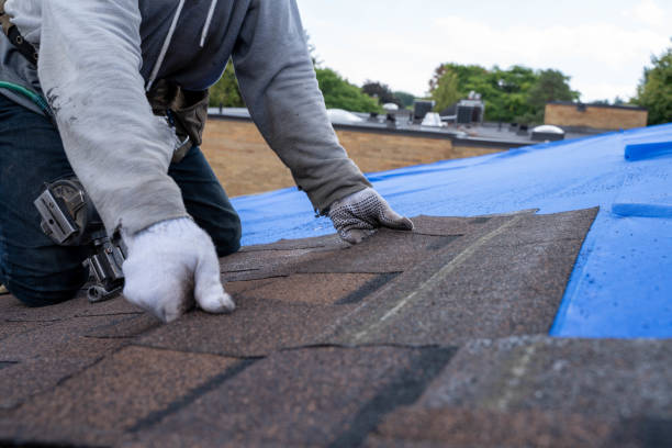 Roof Gutter Cleaning in Menlo Park Terrace, NJ